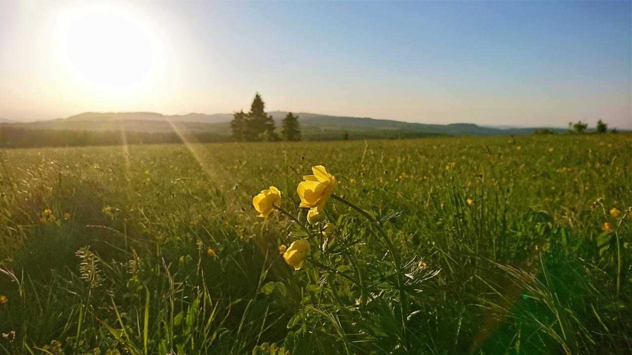 Pension Weinig Герсфельд Экстерьер фото